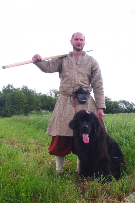 Фотография № 226737