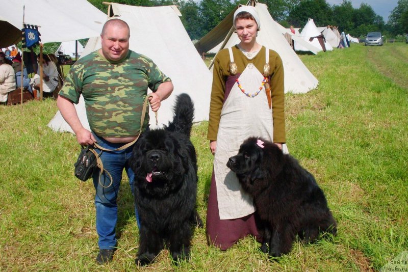 Фотография № 226741