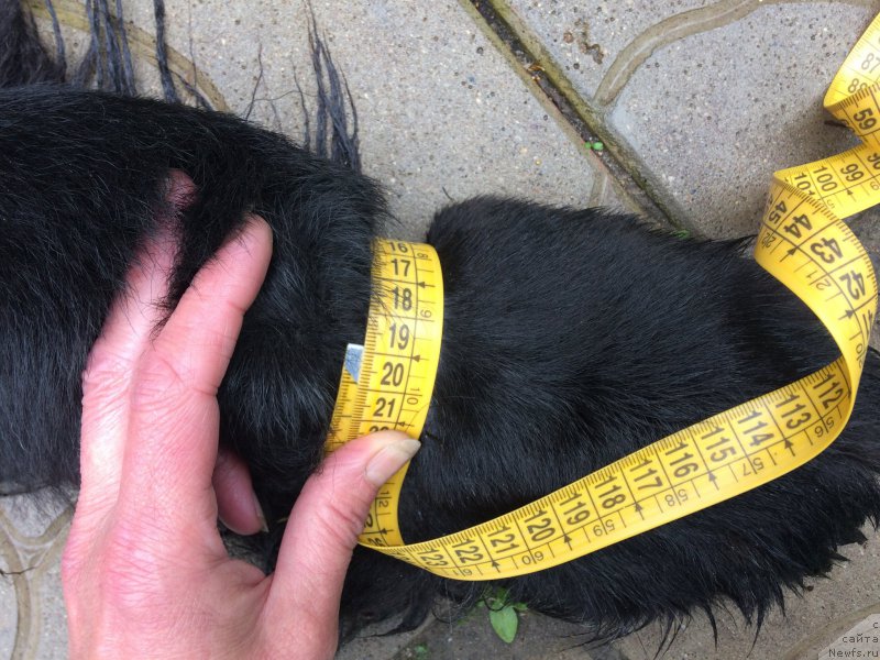 Фотография № 226760