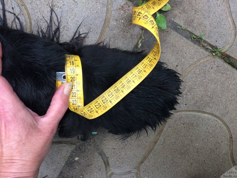 Фотография № 226761