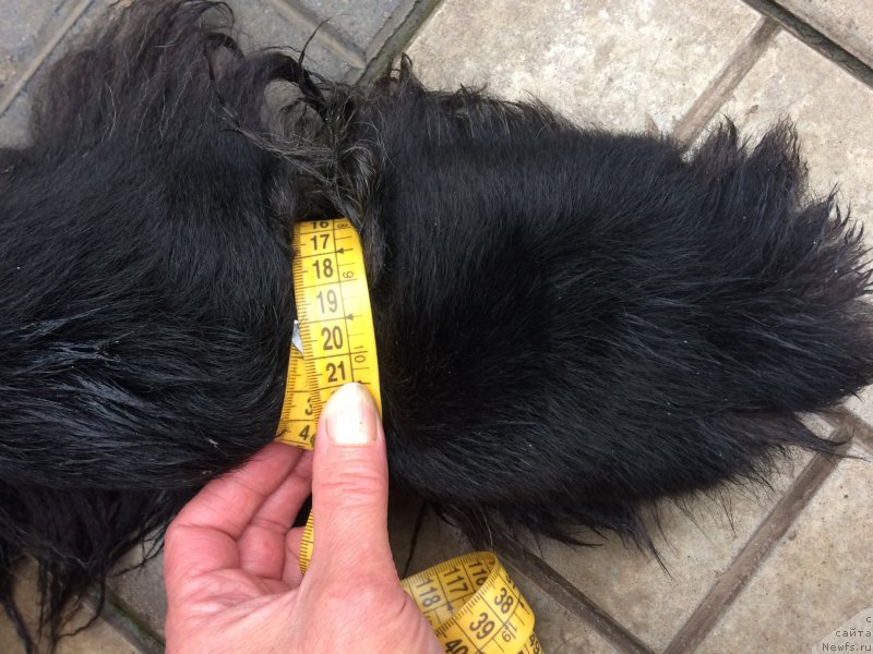 Фотография № 226762