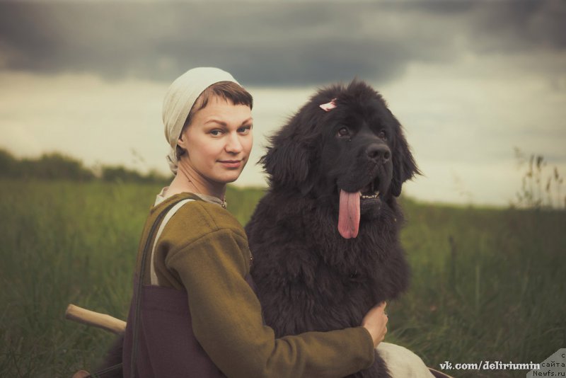 Фото: ньюфаундленд Черная Мафия Бласкберру Блоссом (Chernaya Mafia Blackberry Blossom)