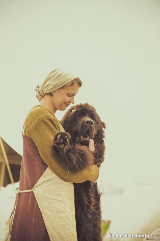 Фотография № 226771