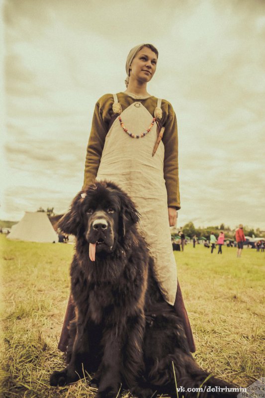 Фотография № 226773