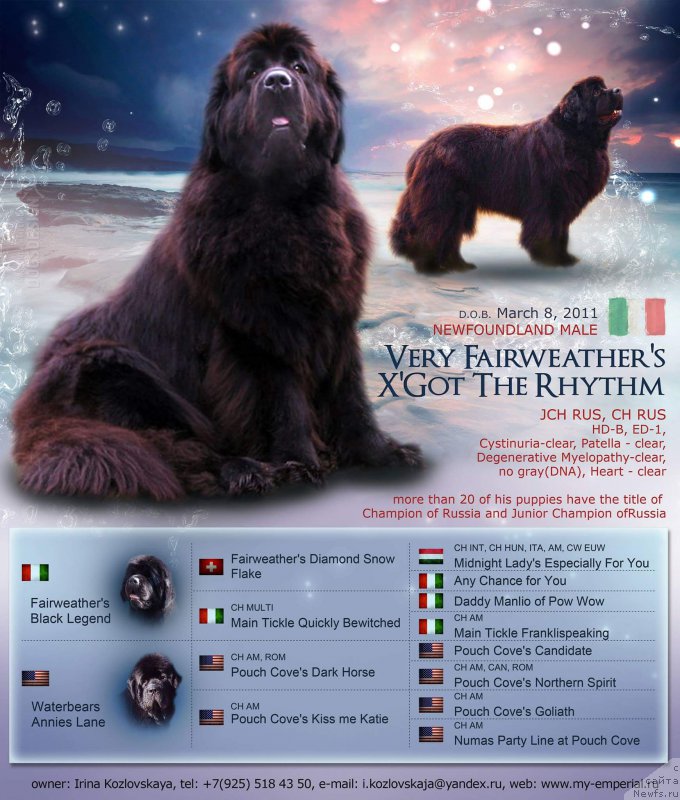 Фотография № 226794