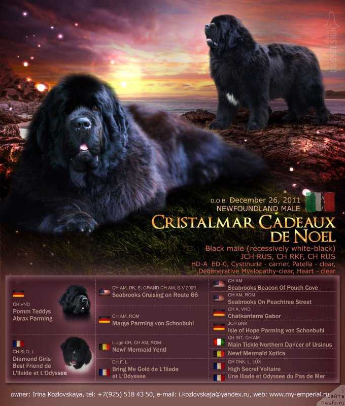 Фотография № 226795