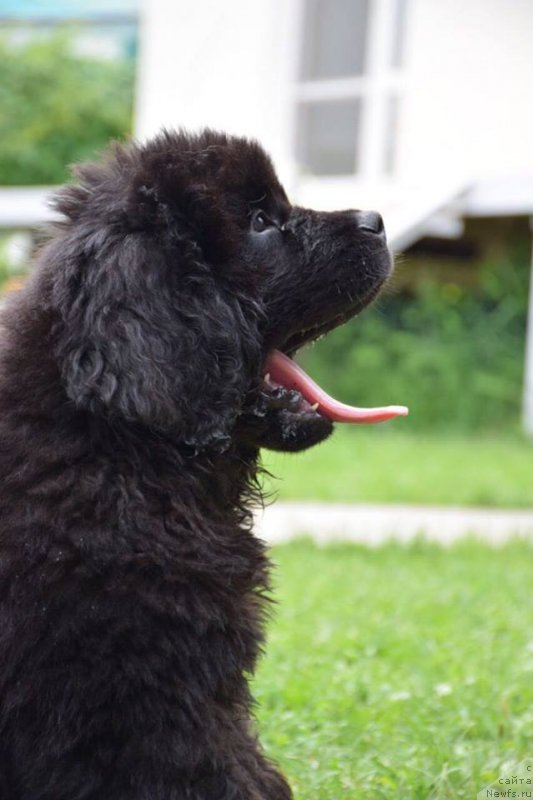 Фотография № 226839