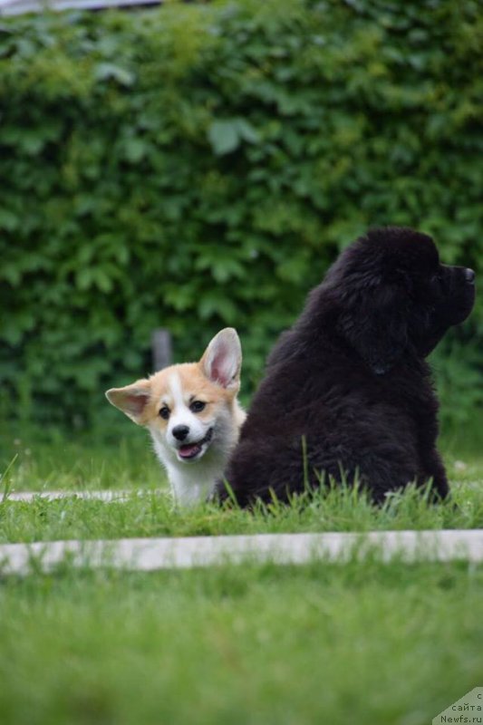 Фотография № 226840