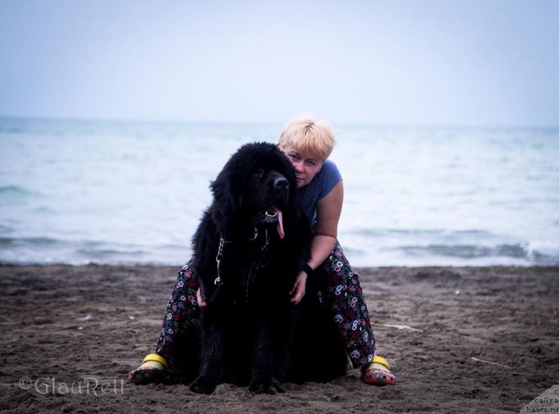 Фотография № 226842