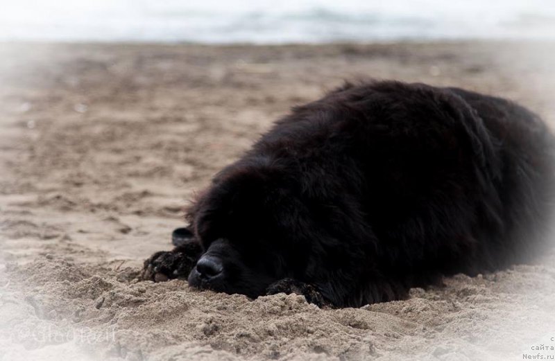 Фотография № 226843