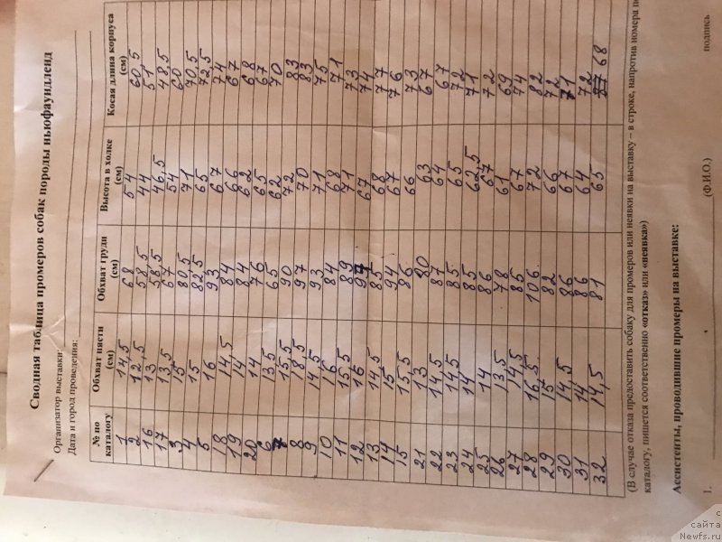 Фотография № 226847