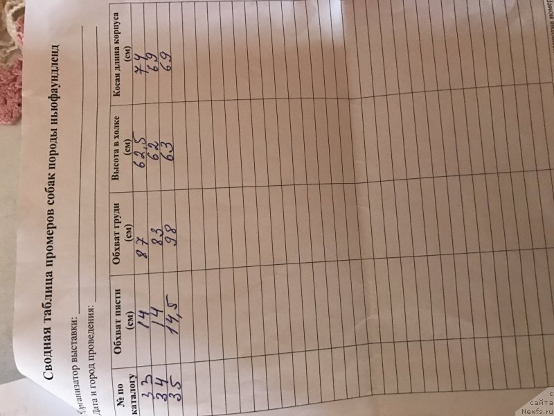 Фотография № 226848