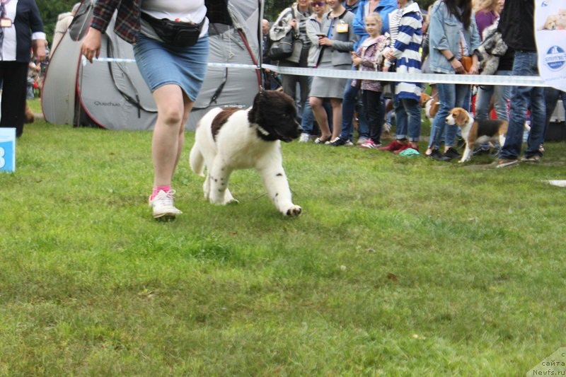 Фотография № 226854