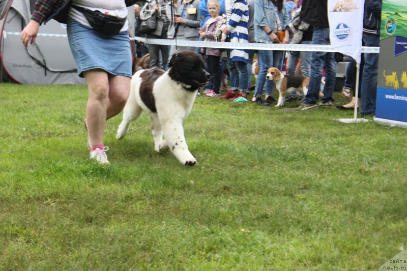 Фотография № 226855