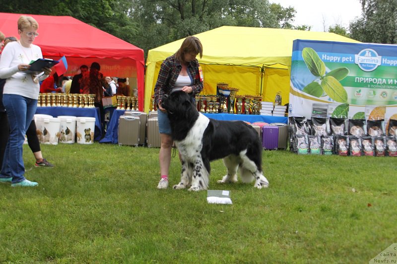 Фотография № 226858