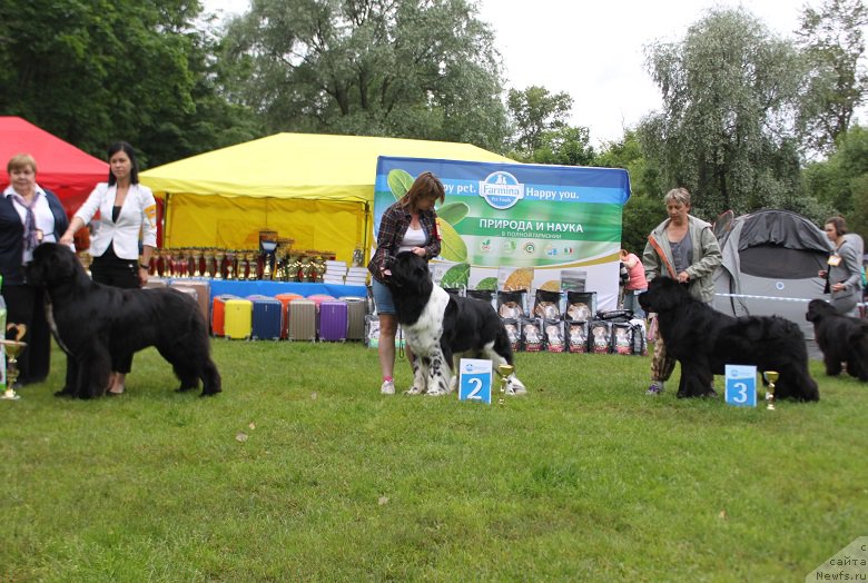 Фотография № 226859