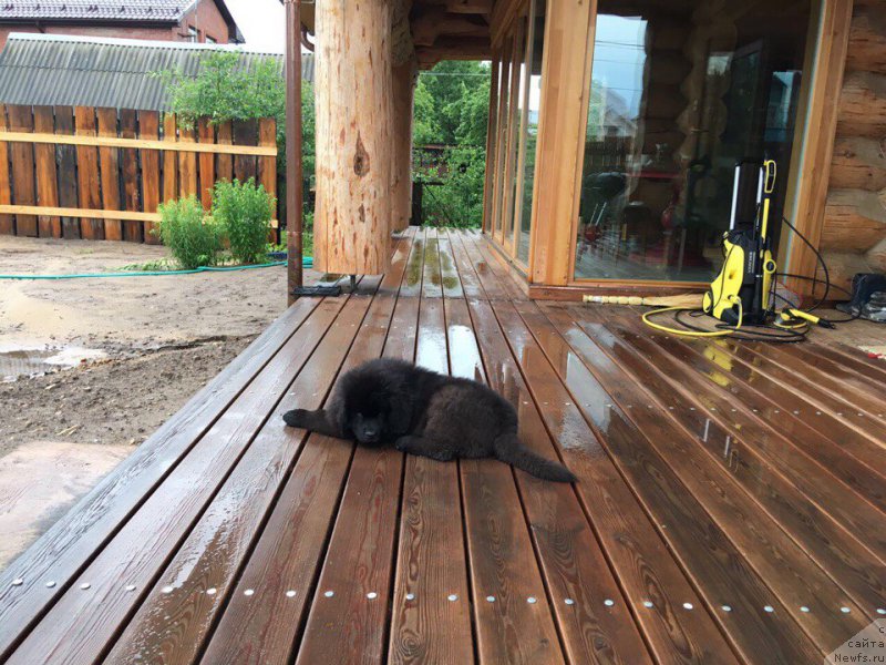 Фотография № 226863