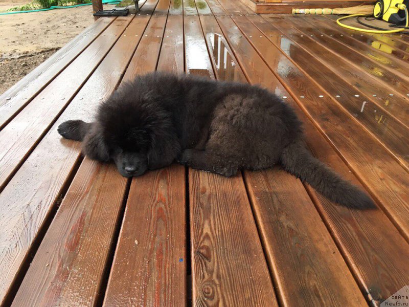 Фотография № 226864