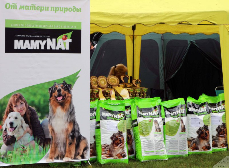 Фотография № 226892