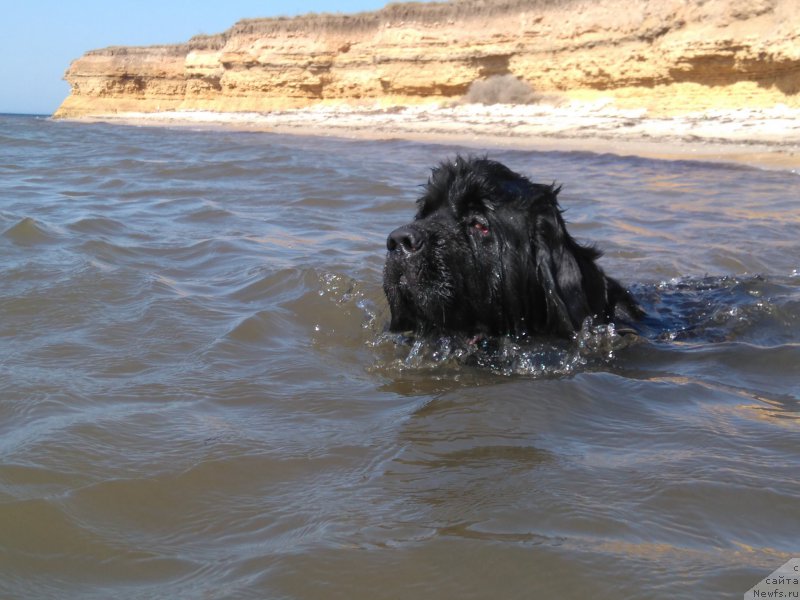 Фотография № 226893