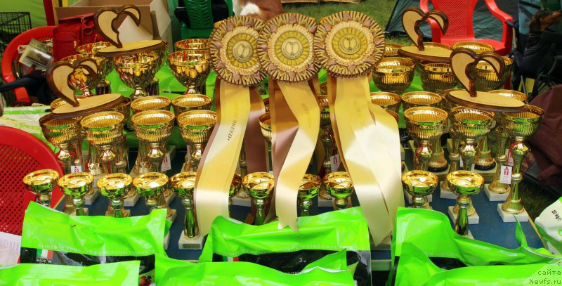 Фотография № 226894