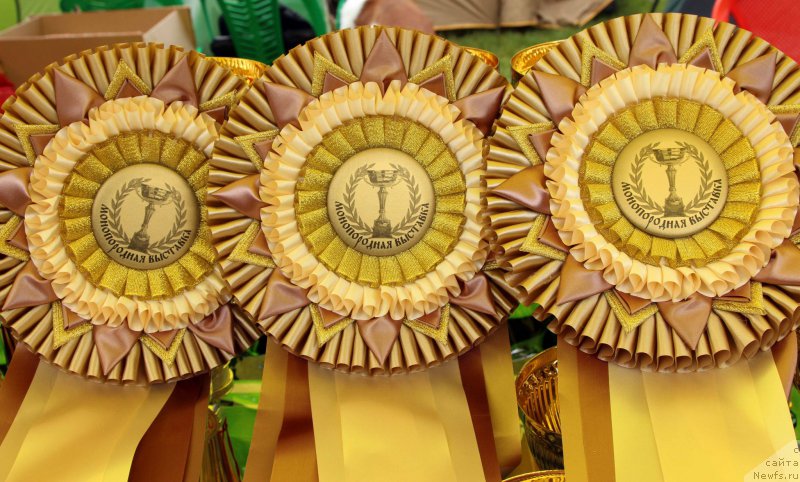 Фотография № 226895