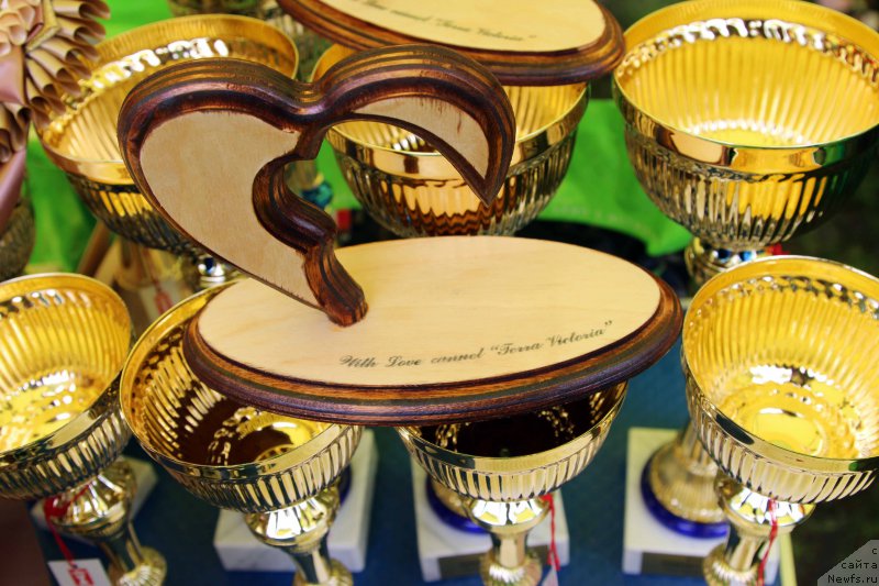 Фотография № 226896