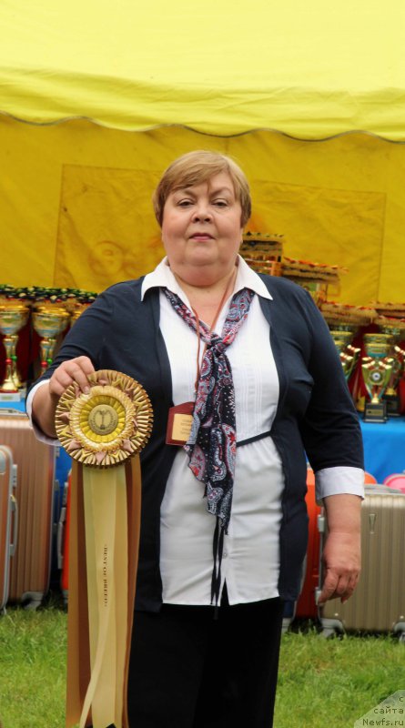 Фотография № 226897