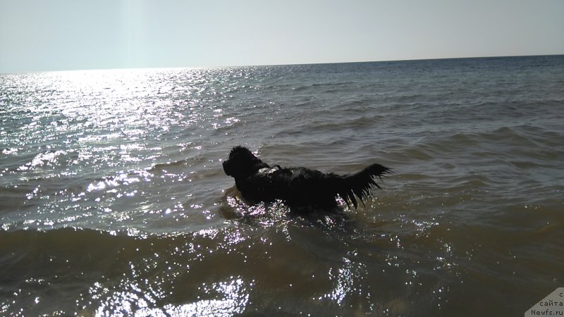 Фотография № 226908