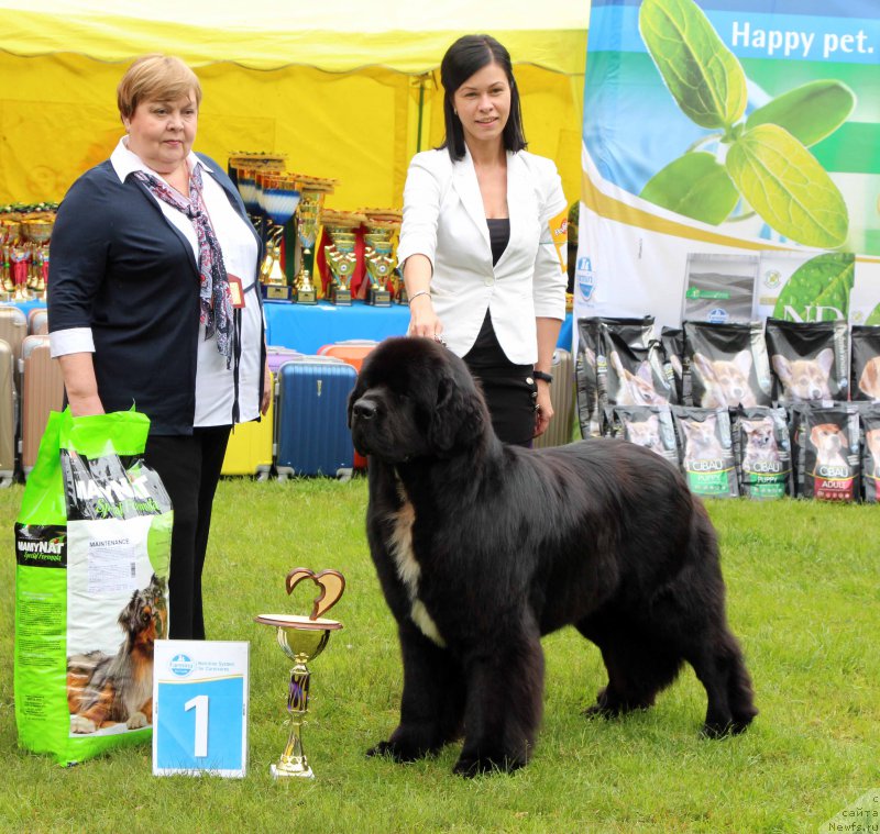 Фотография № 226914