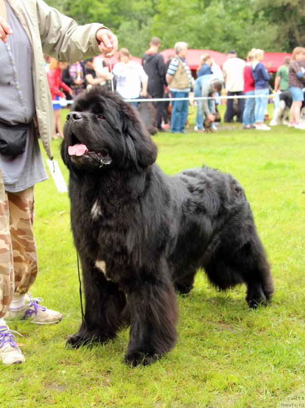 Фотография № 226917