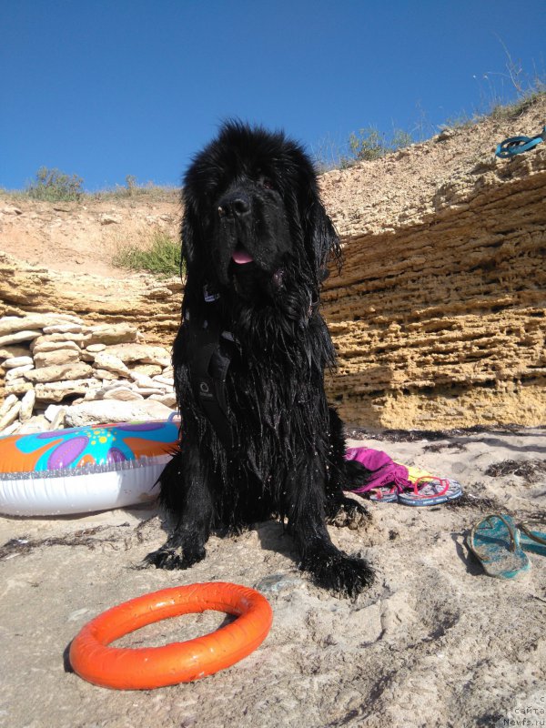 Фотография № 226918