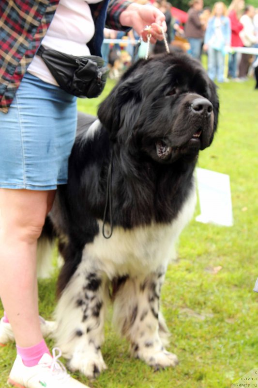 Фотография № 226919