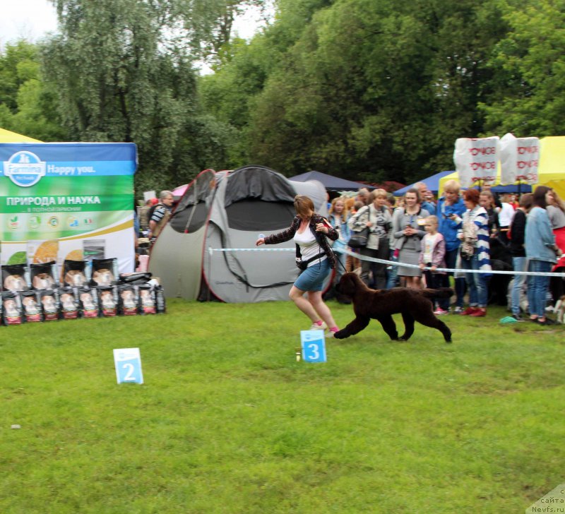 Фотография № 226922