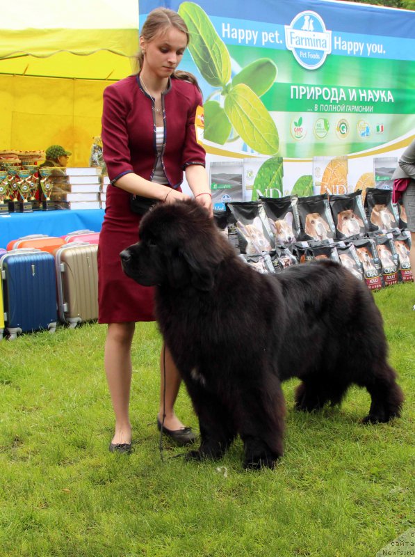 Фотография № 226925