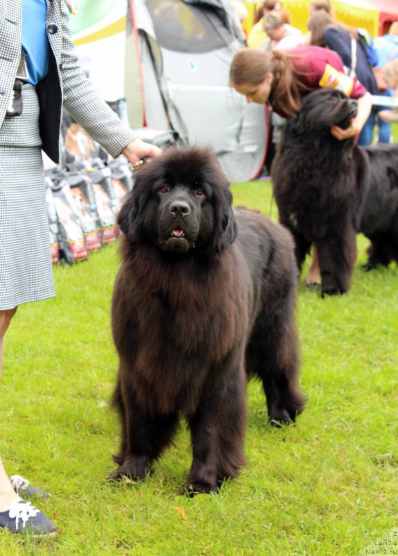 Фотография № 226927