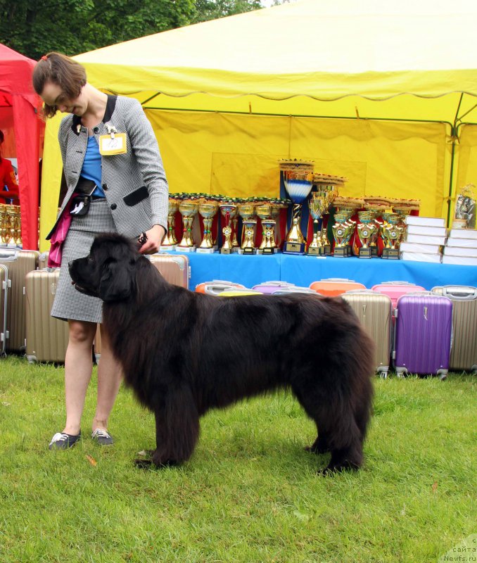 Фотография № 226928