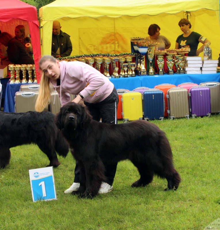 Фотография № 226929