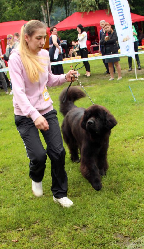 Фотография № 226930