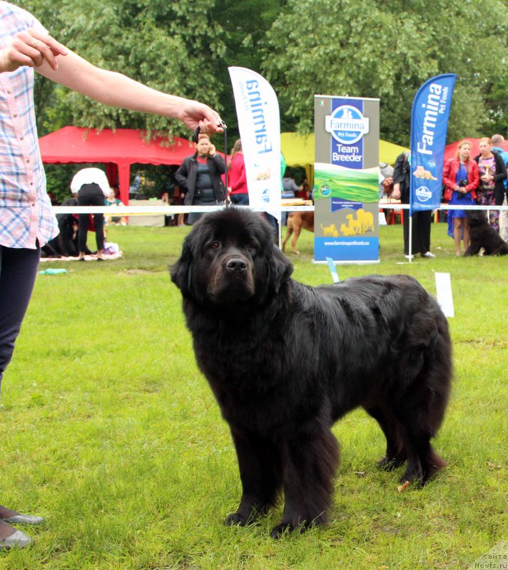 Фотография № 226931