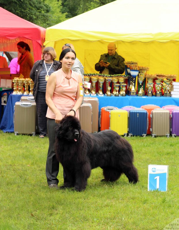 Фотография № 226933