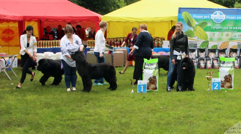 Фотография № 226935