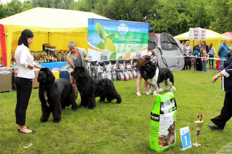 Фотография № 226936