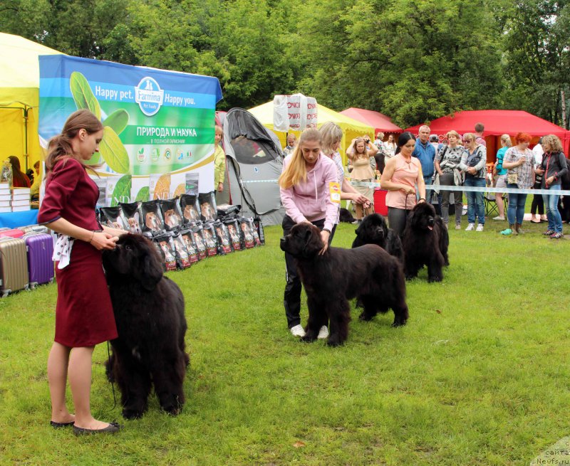 Фотография № 226937