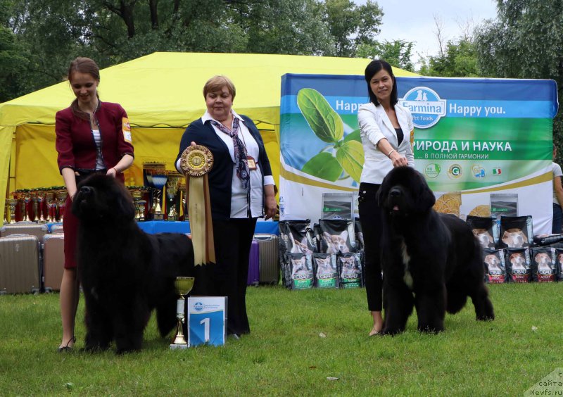 Фотография № 226938