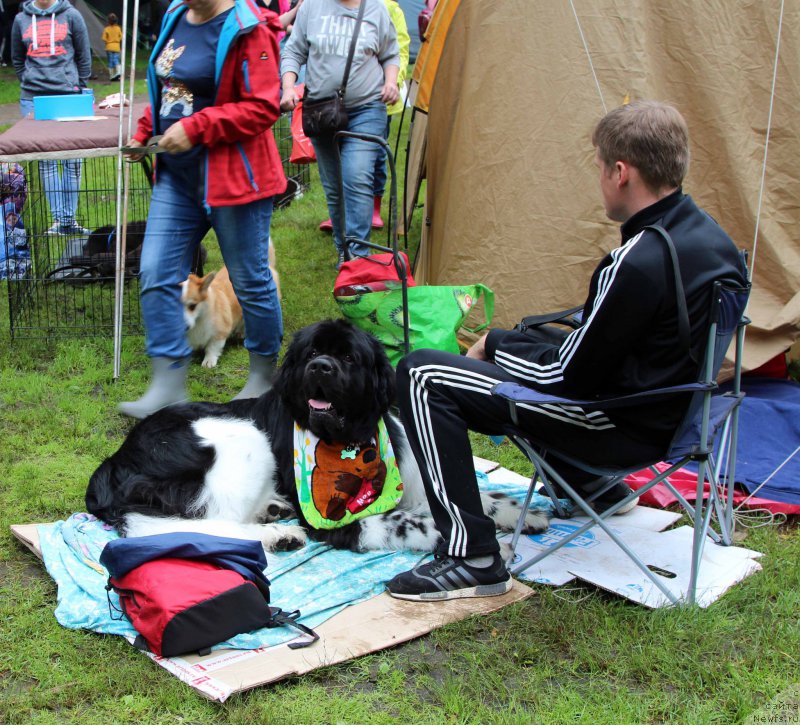 Фотография № 226941