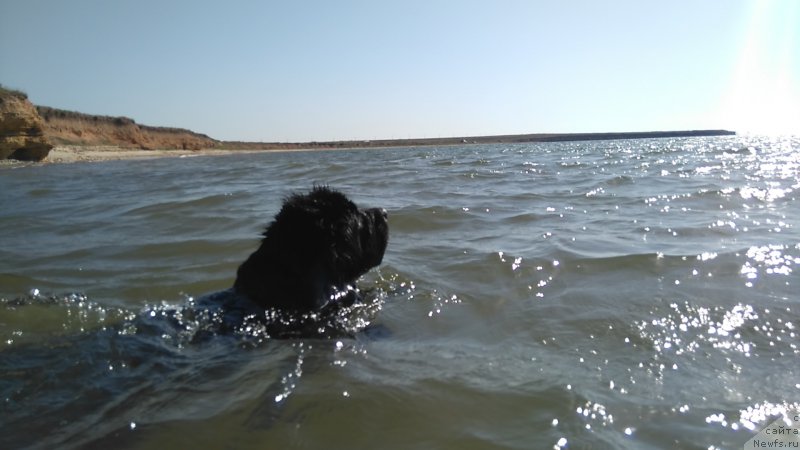 Фотография № 226942