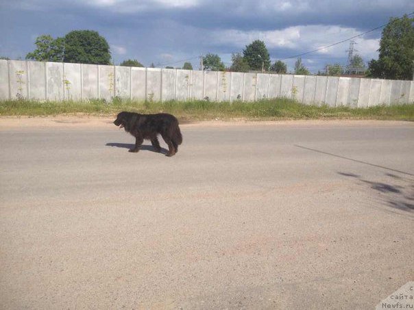 Фотография № 226949