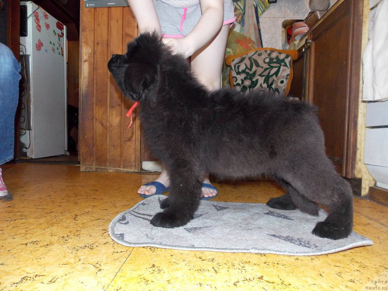 Фотография № 226954