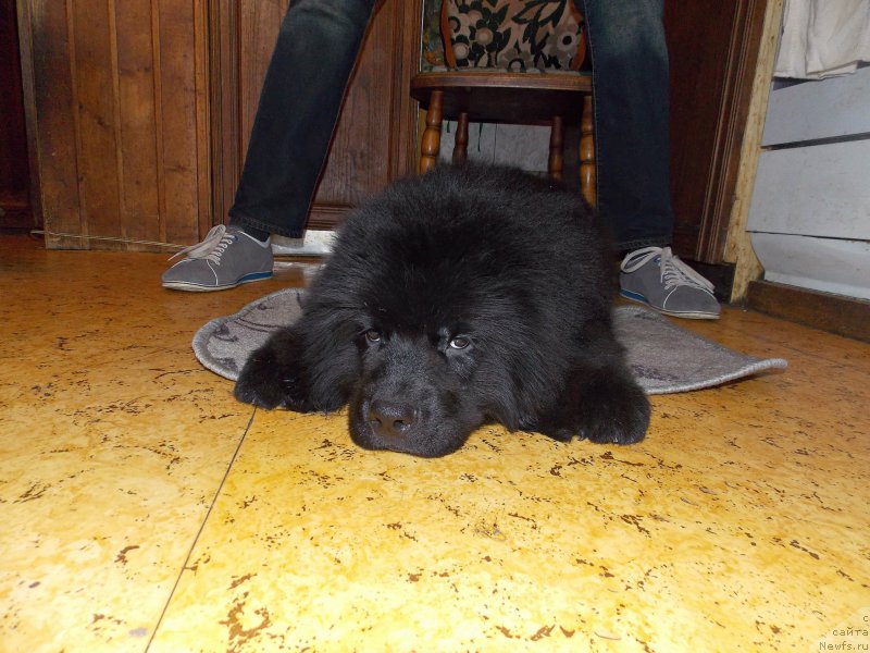 Фотография № 226955